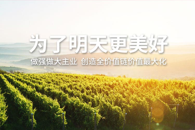创世红海·(中国区)有限公司官网