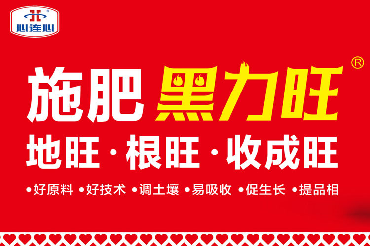 创世红海·(中国区)有限公司官网