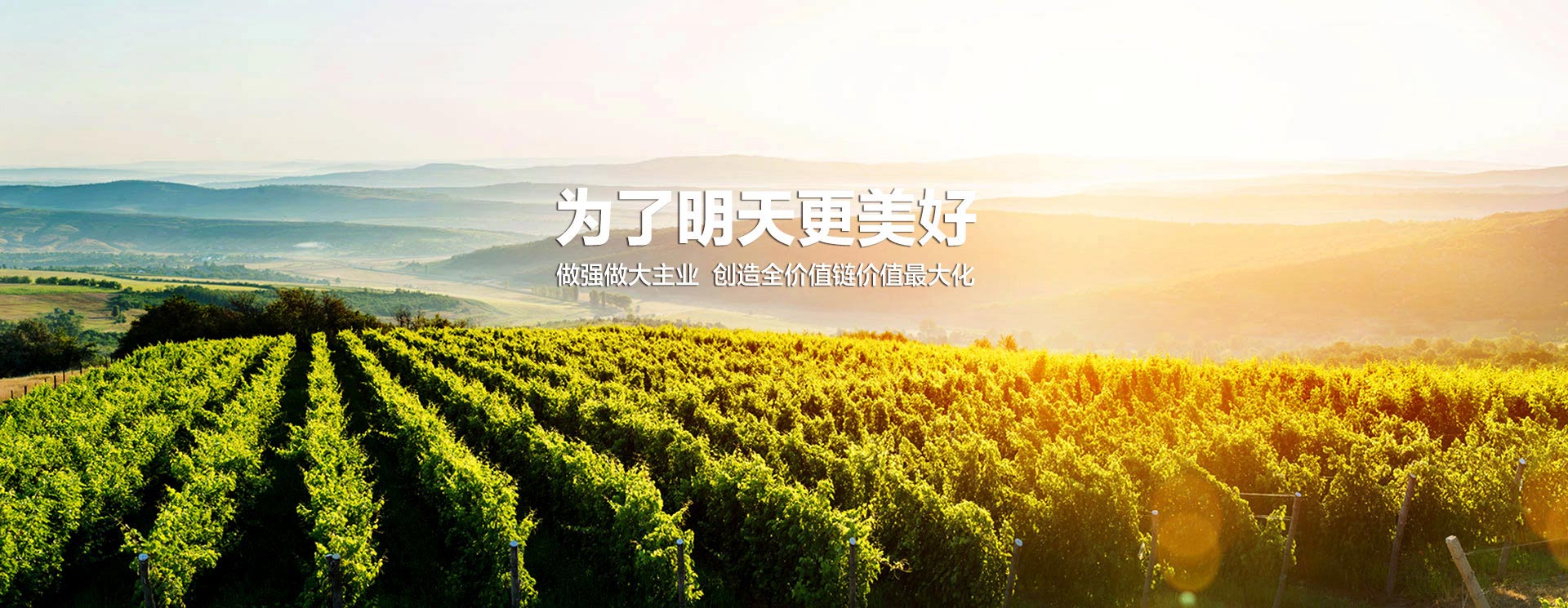 创世红海·(中国区)有限公司官网