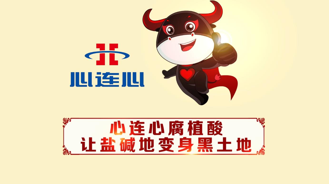 创世红海·(中国区)有限公司官网