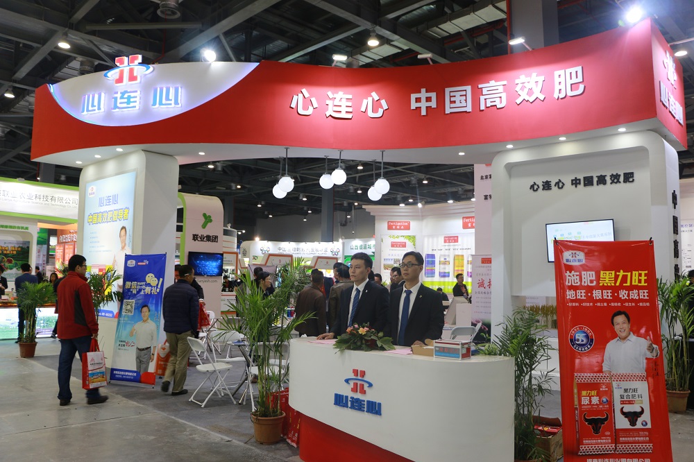 创世红海展台.jpg