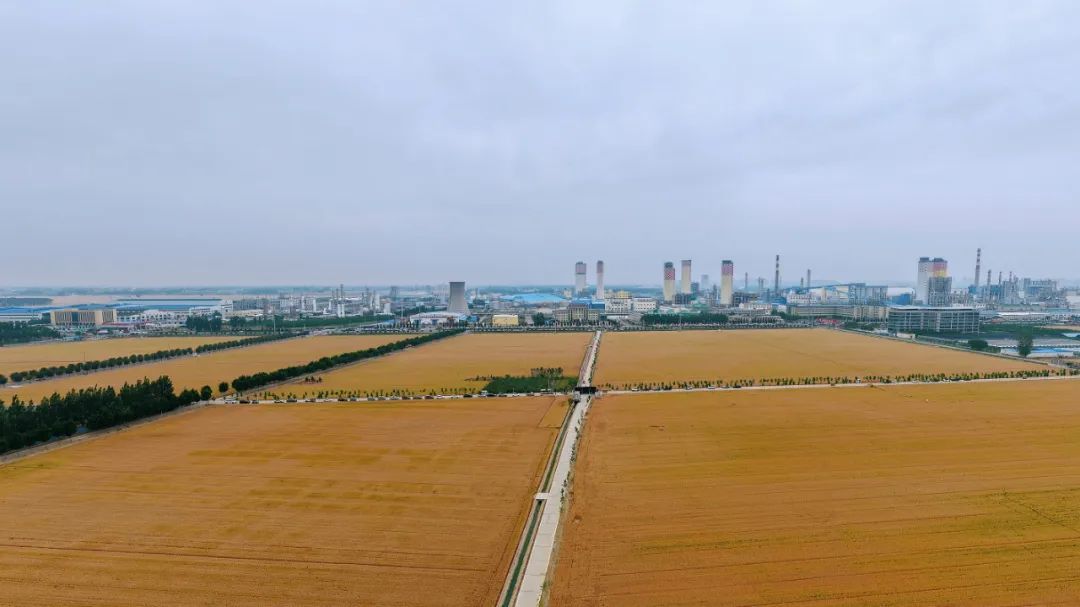 1753683682924927 图片