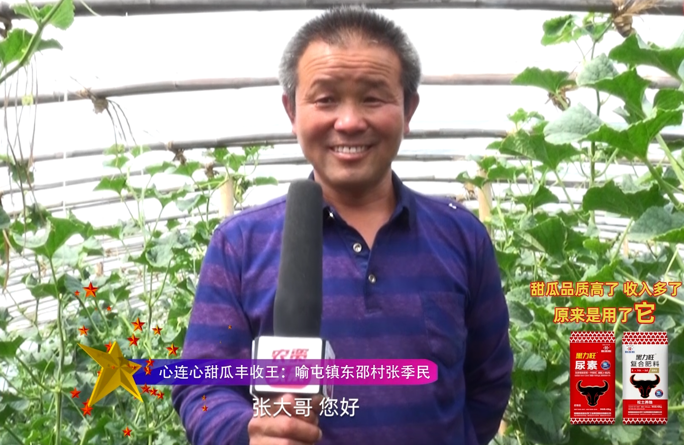 创世红海甜瓜丰登王